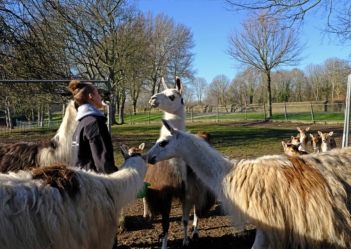 Gebouw Hertenkamp Enkhuizen